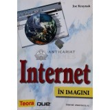 Internet in imagini - 2003 - Joe Kraynak (A141)