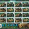 DB Fauna WWF Guyana Cainele de Tufis ( Boschetar ) MS + SS MNH