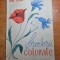 broderii colorate - din anul 1963