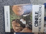 C&acirc;inele, prietenul nostru vintage