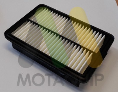 MOTAQUIP LVFA1683 Filtru aer foto
