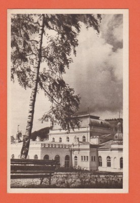 AMS @ - VEDERE/ILUSTRATA - VATRA DORNEI-SANATORIUL BALNEAR, NECIRCULATA, sepia-maro foto