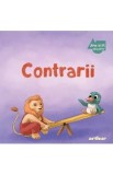 Apolodor Educator: Contrarii, Autor Anonim