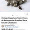 Pencas de Balangadan, amuleta vintage braziliana