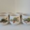 Set ceramic asiatic 6 cesti de ceai (pt. ceremonia ceaiului), Japonia, fara toarta,
