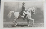 Carte Postala, Cursant la Școala Spaniolă de Echitație Viena, 1931