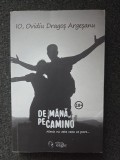 DE MANA, PE CAMINO - Ovidiu Dragos Argesanu