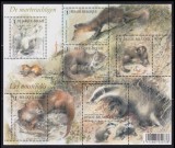 Belgia 2008 - Fauna, animale, minicoala neuzata