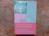 INTR-UN CAMIN DE DOMNISOARE , CALATOR DIN NOAPTREA DE AJUN de ANISOARA ODEANU , 2016