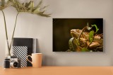 Tablou Canvas, "Iguana printre frunze verzi și uscate", Iguana, Frunziș, Reptilă, Natură, Verde, Ochi, Solzi, Ramură, 39 x 26 cm, CMCLASS