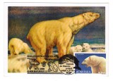 CPIB 23875 CARTE POSTALA - 40 DE ANI DE FILATELIE POLARA, , NECIRCULATA, 2008