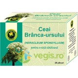 Ceai Branca Ursului 20dz