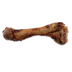 Bone for dogs - pork, roast foto