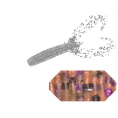 GRUB COLMIC X35 DOUBLE CLAW 3.5&amp;quot; 8.9cm CHAMPAGNE PURP foto