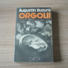 Augustin Buzura - Orgolii