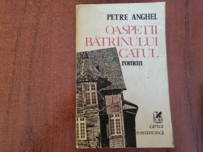 Oaspetii batranului Catul de Petre Anghel foto