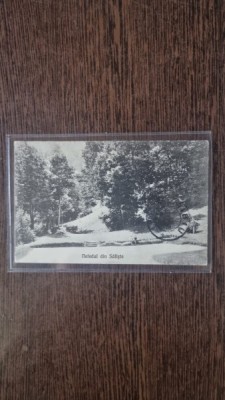 Carte Postala - Saliste. Netedul din Saliste foto