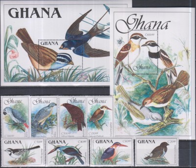 Timbre cu păsări din Ghana foto