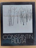 Peisajele amintirii- Constantin Piluta