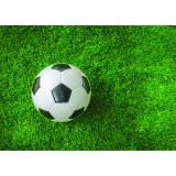 Poster Minge Fotbal