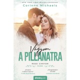 V&aacute;gyom a pillanatra - Corinne Michaels