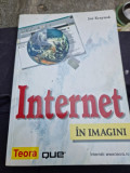Joe Kraynak - Internet in imagini