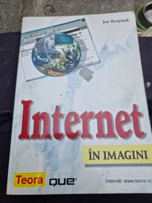 Joe Kraynak - Internet in imagini foto