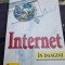 Joe Kraynak - Internet in imagini