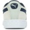 icon 5