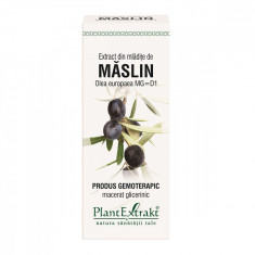 Extract din mladite de Maslin, 50ml, PlantExtrakt