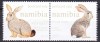 Namibia 2017 fauna iepuri MNH ww82, Nestampilat