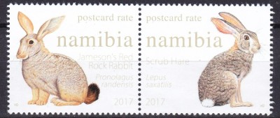 Namibia 2017 fauna iepuri MNH ww82 foto