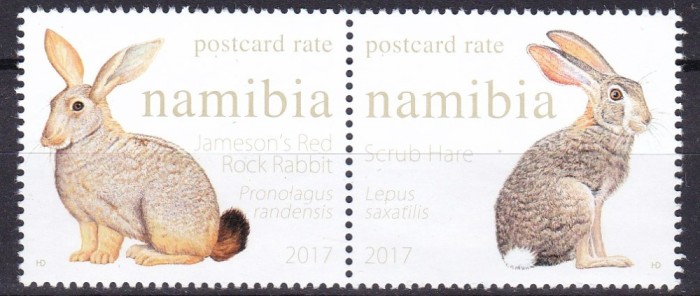 Namibia 2017 fauna iepuri MNH ww82
