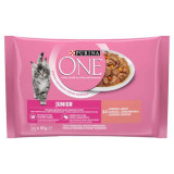 Hrana Umeda One pentru Pisici Junior, cu Somon si Morcovi, 4 x 85 g