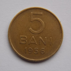 5 BANI 1956 ROMANIA