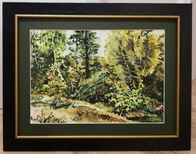 Tablou Peisaj din Gradina Botanica pictura in acuarele inramat 36x46cm foto
