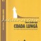 Coada Lunga - Chris Anderson