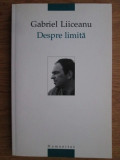 Gabriel Liiceanu - Despre limita