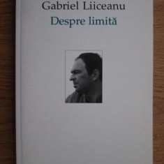 Gabriel Liiceanu - Despre limita