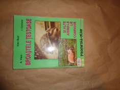 Broastele testoase si alte animale de companie 184pag/an1997- Ioan Bud foto