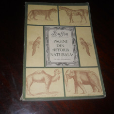 Pagini din Istoria naturala - Buffon,1981 Ed. Ion Creanga