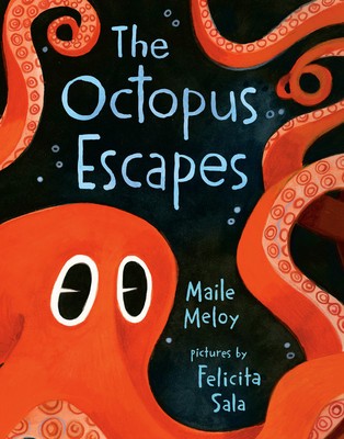 The Octopus Escapes foto