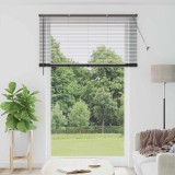 Jaluzea pentru Fereastră cu perdele Altele Manual Negru 150 x 220 cm Aluminiu