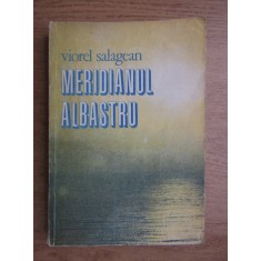 Viorel Salagean - Meridianul albastru