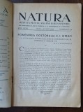 NATURA &ndash; nr. 7&ndash;8 / iulie&ndash;august 1938 &ndash; Longinescu despre C.I. Istrati &ndash; copertă &bdquo;Turtureaua&rdquo;