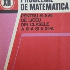 Probleme de matematica pentru elevii de liceu din clasele a XI-a sau a XII-a- Liviu Pirsan, Constantin Ionescu-Tiu