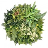 Harmonia I. perete verde din plastic 50x50 cm