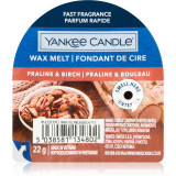 Yankee Candle Praline &amp; Birch ceară pentru aromatizator 22 g