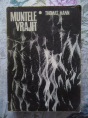 MUNTELE VRAJIT - THOMAS MANN 1967 foto