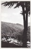 Bnk cp Manastirea Suzana - Vedere - necirculata, Printata, Prahova